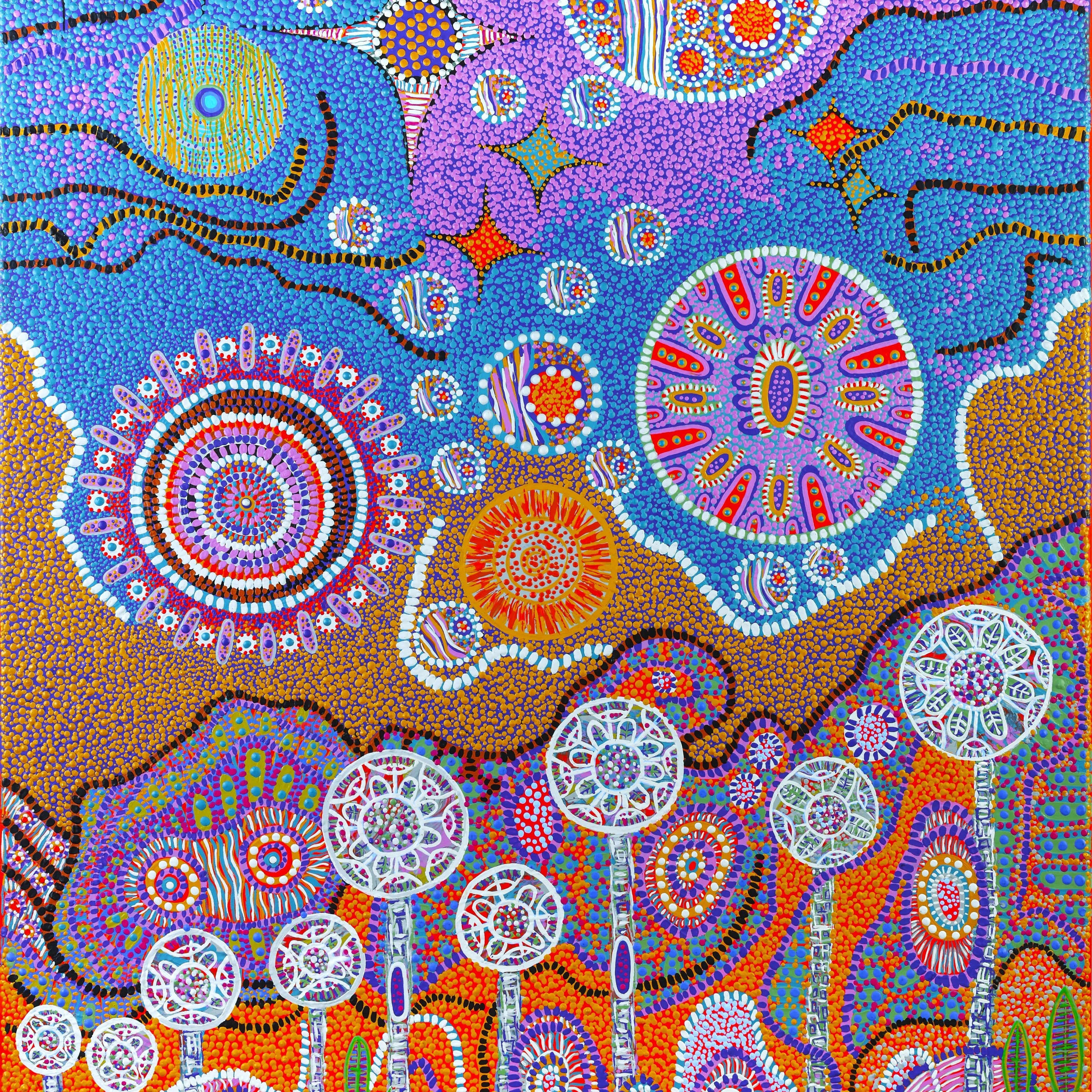 Aboriginal trade routes Art works by Bigambul artist Cheryl Moggs