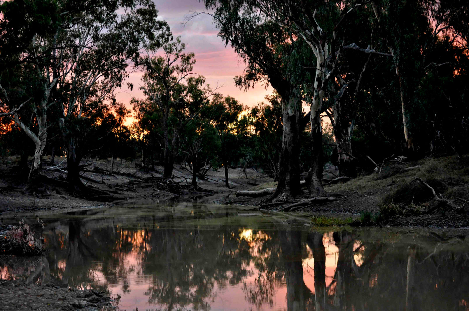 Bigambul Country photograph by artist Cheryl Moggs